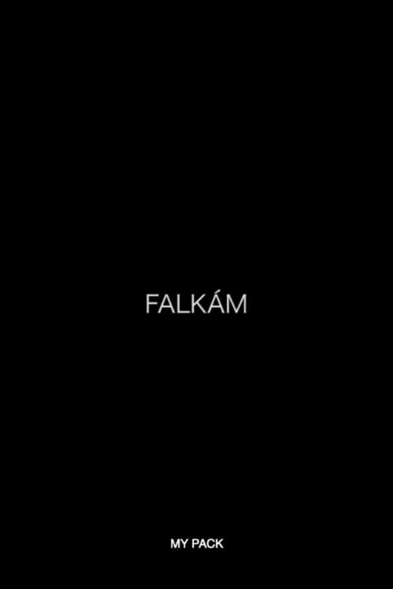 Poster of Falkám