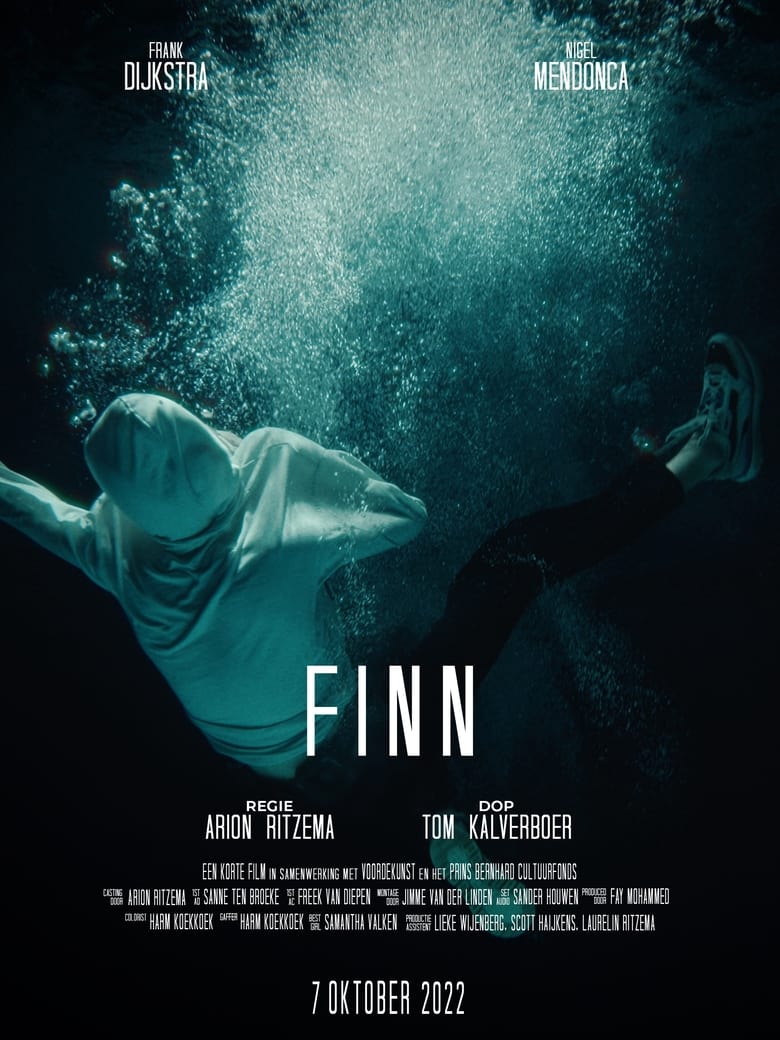 Poster of FINN