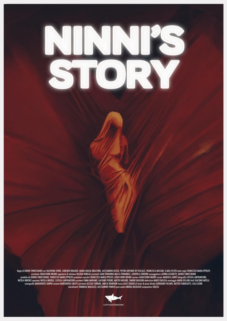 Poster of Ninni's story