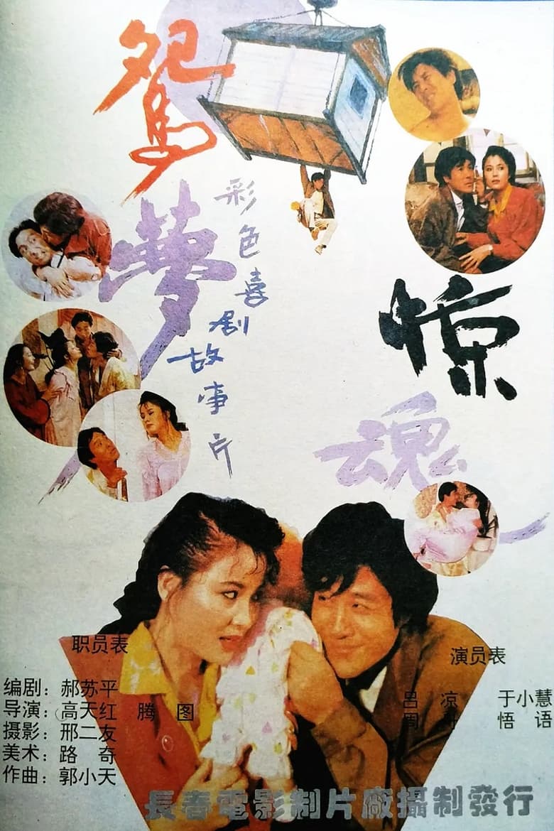 Poster of 鸳梦惊魂