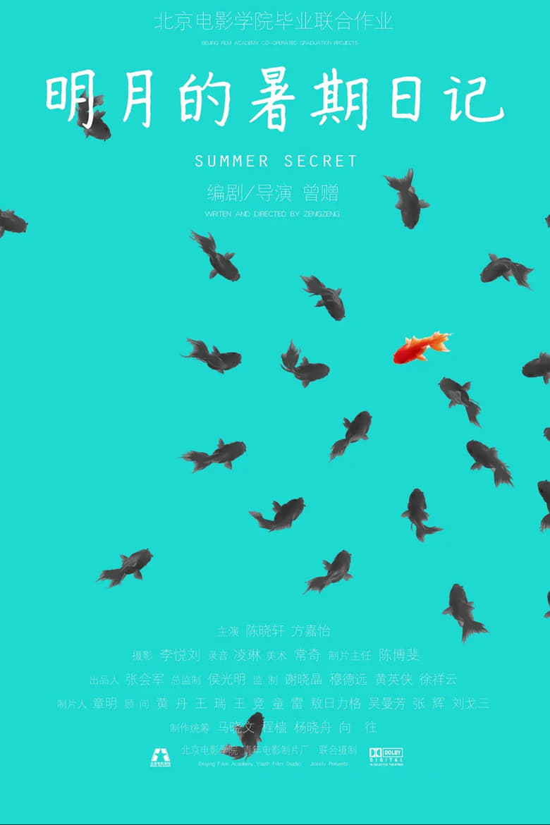 Poster of Summer Secret