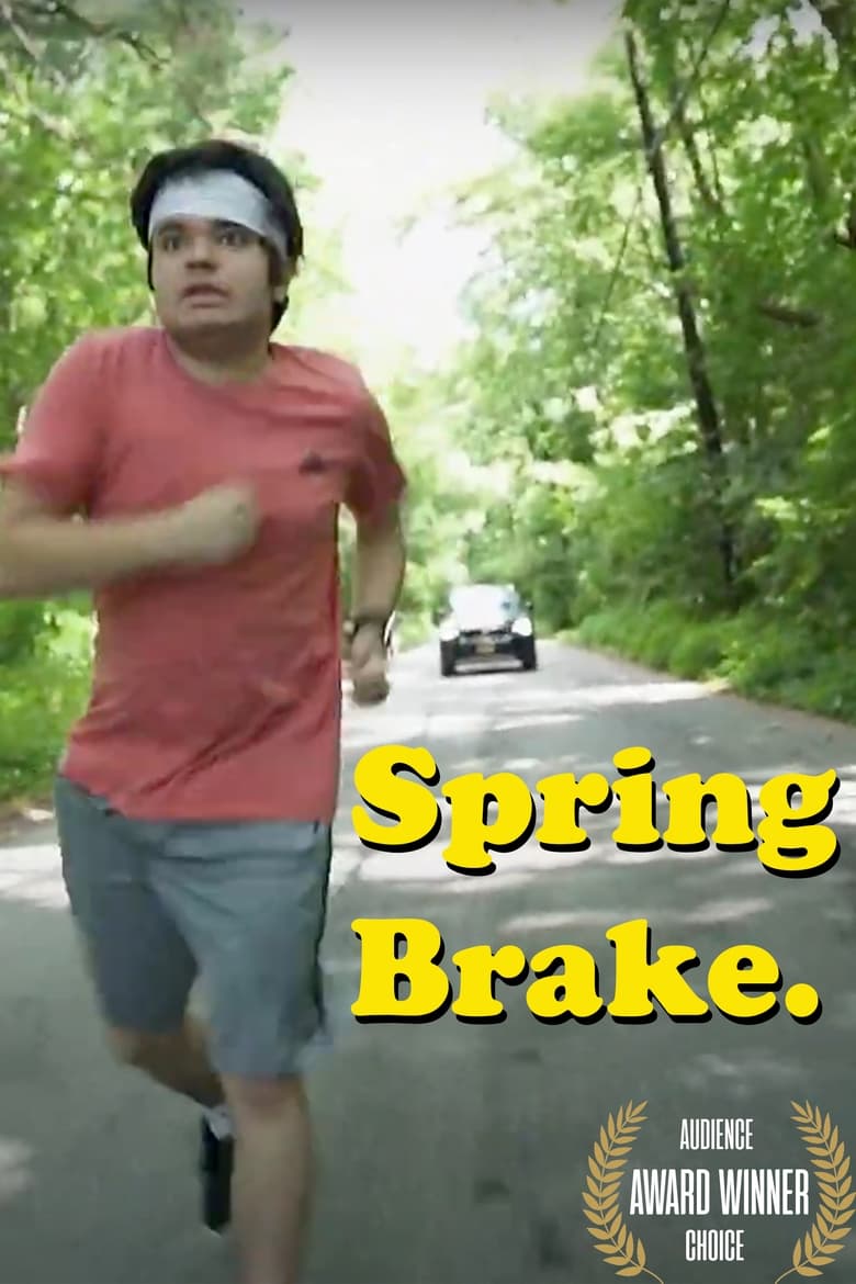 Poster of Spring Brake