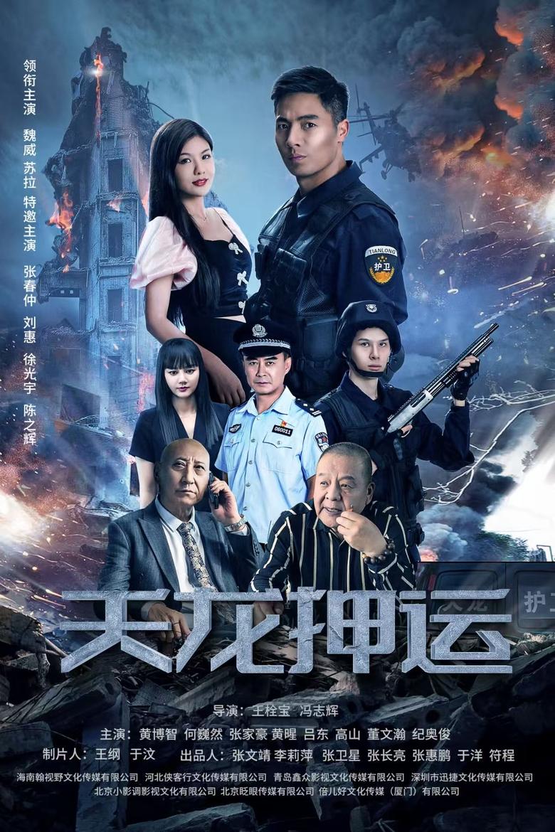 Poster of 天龙押运