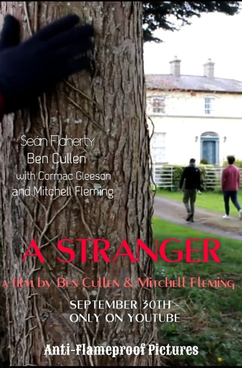 Poster of A Stranger