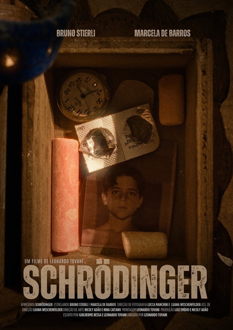 Poster of Schrödinger