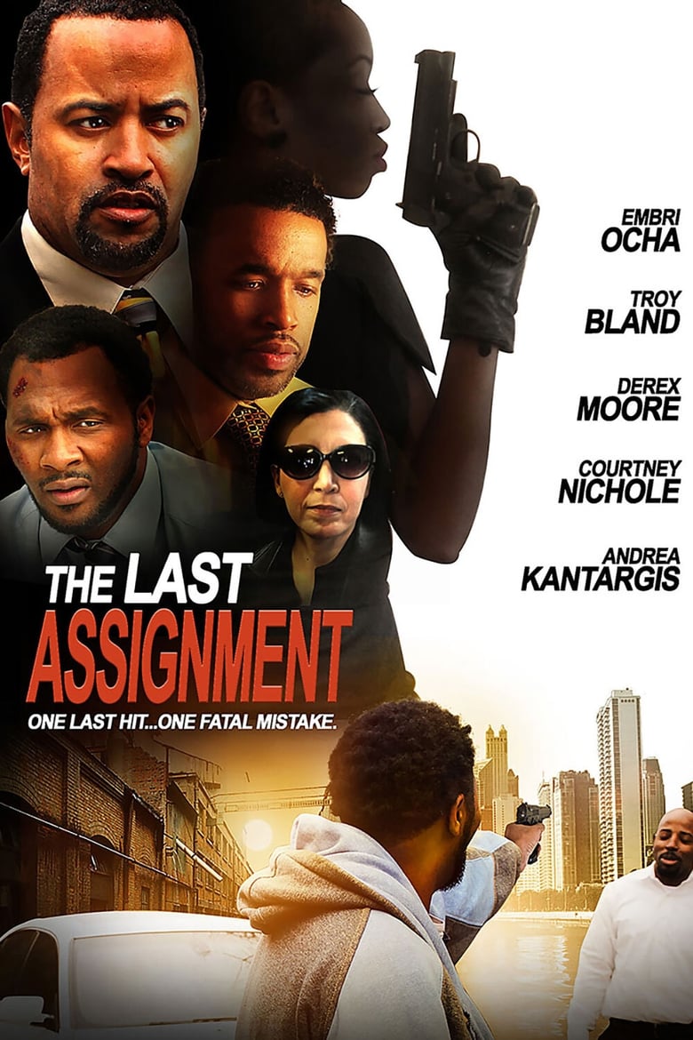 Poster of The Last Assignment