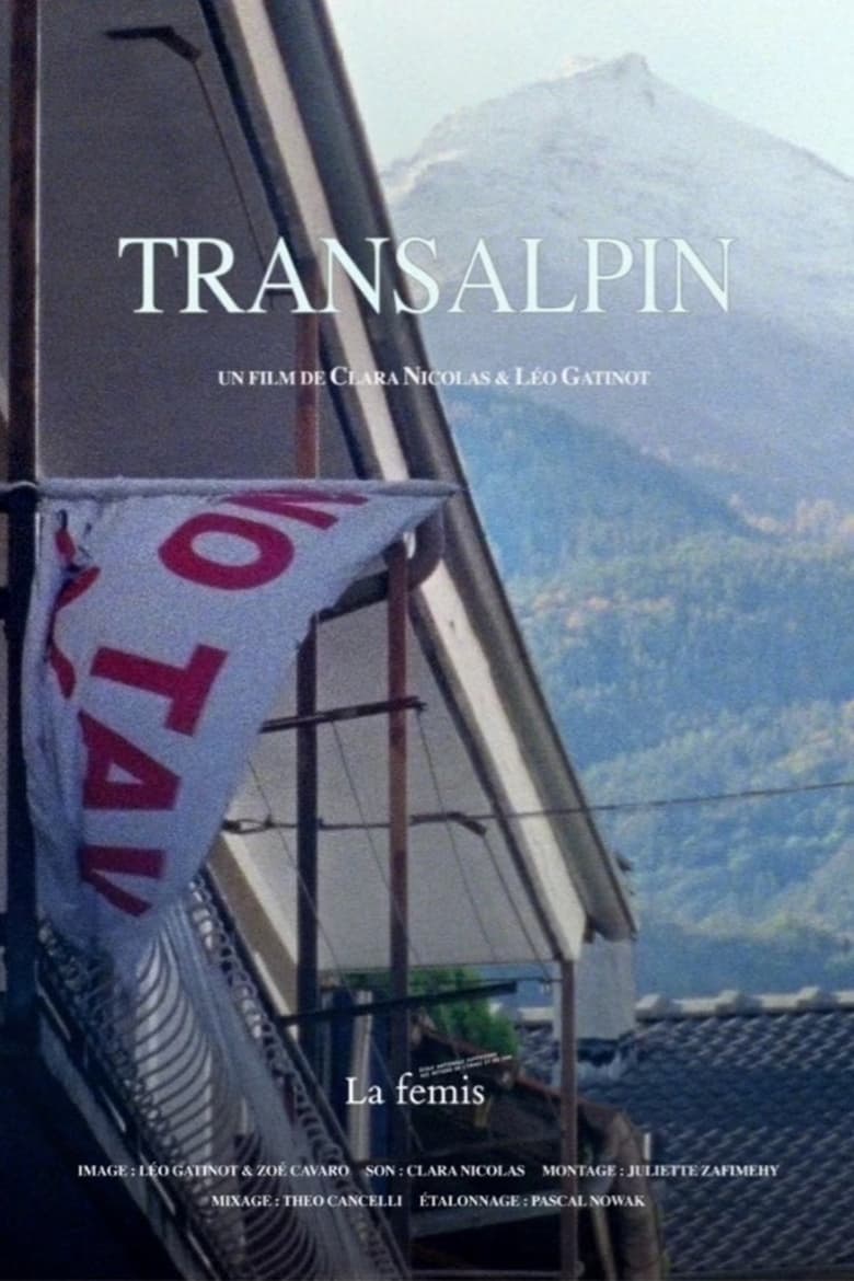 Poster of Transalpin