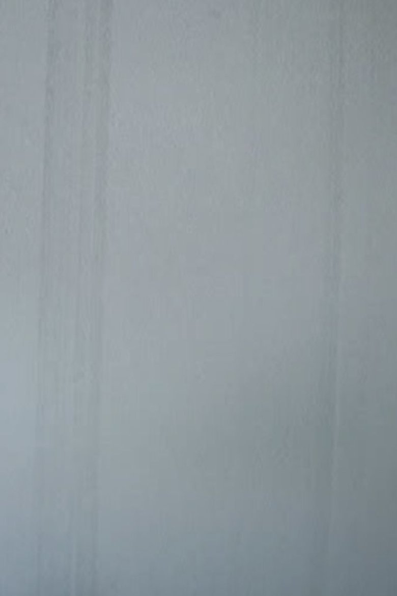 Poster of WHITE