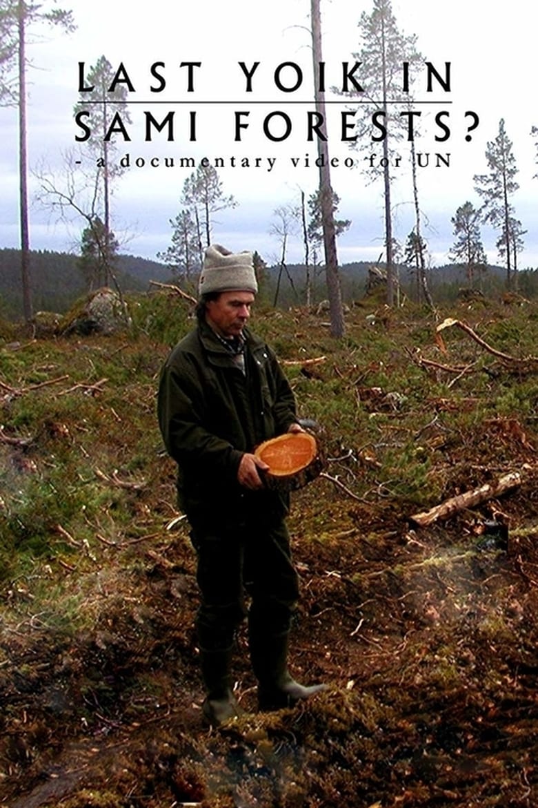 Poster of Last Yoik in Saami Forests?