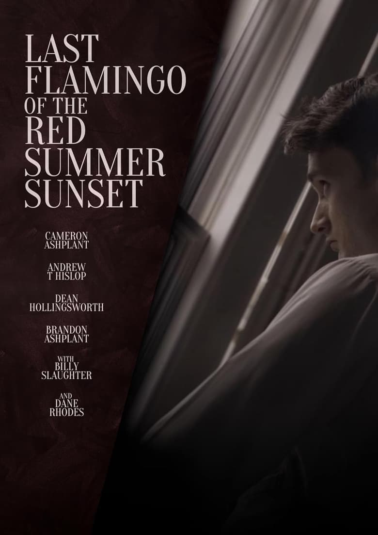 Poster of Last Flamingo of the Red Summer Sunset