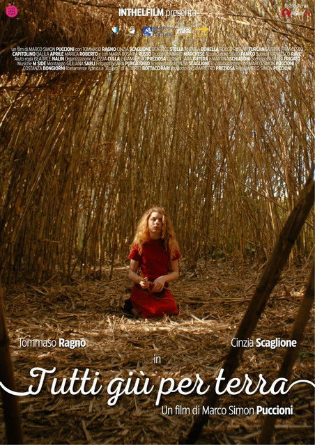 Poster of Tutti giù per terra