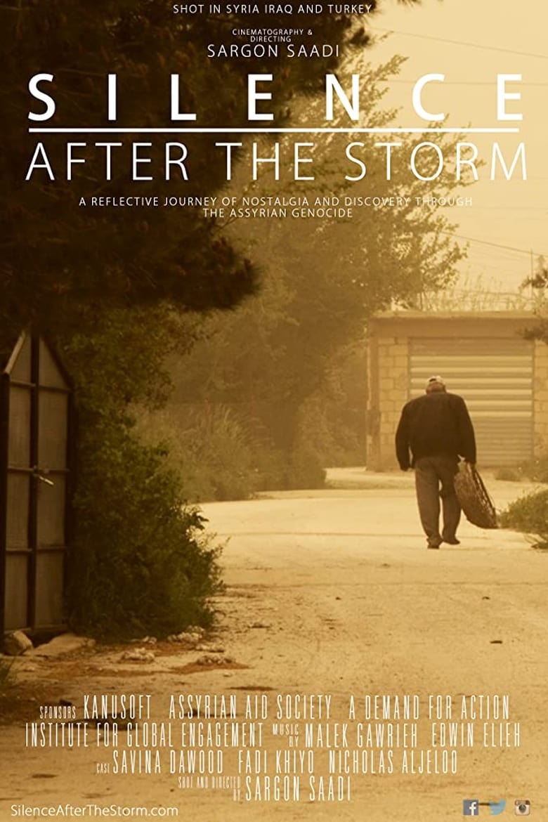 Poster of Silence After the Storm