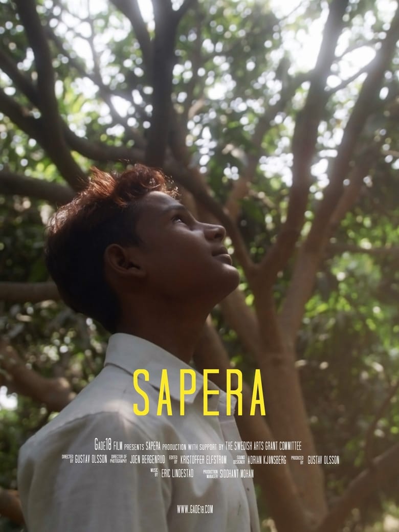 Poster of Sapera