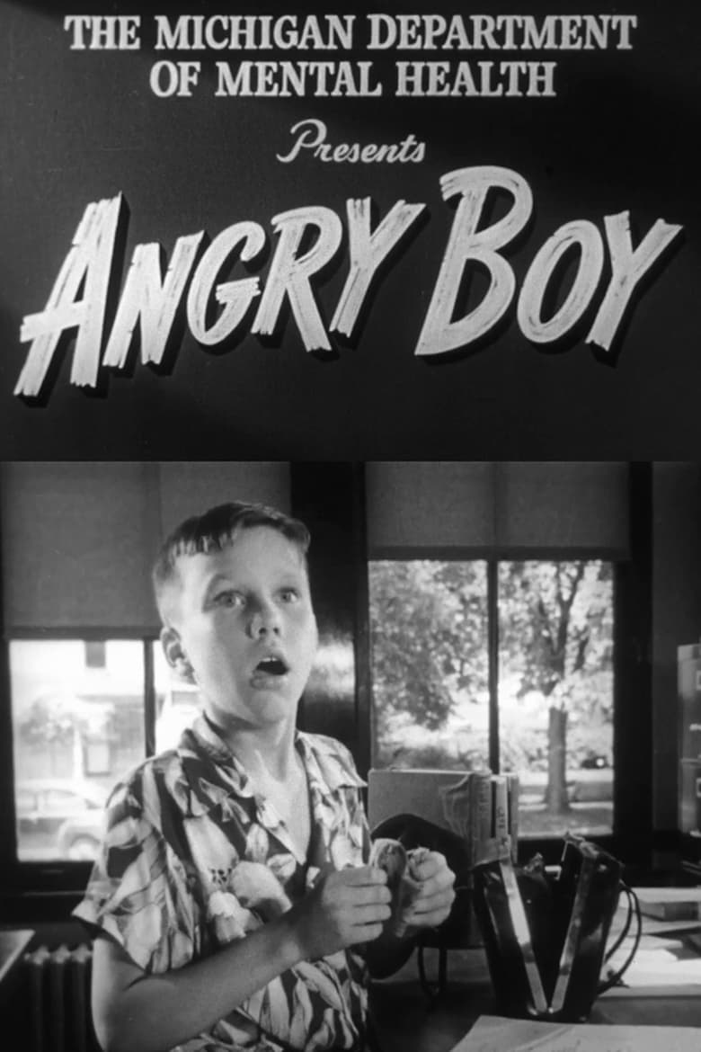 Poster of Angry Boy