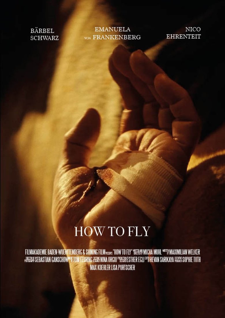 Poster of How to Fly