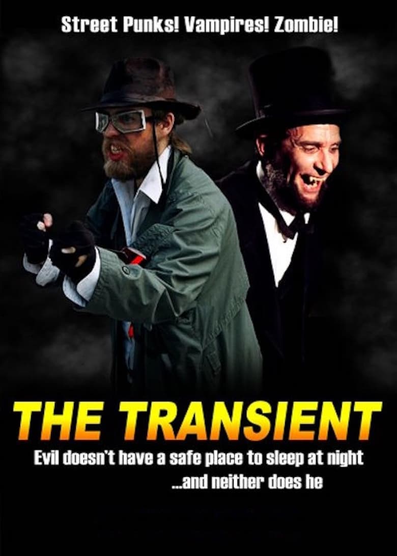 Poster of The Transient