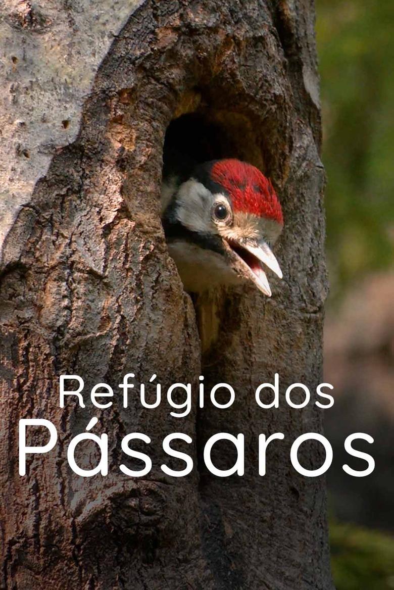 Poster of Refúgio dos Pássaros