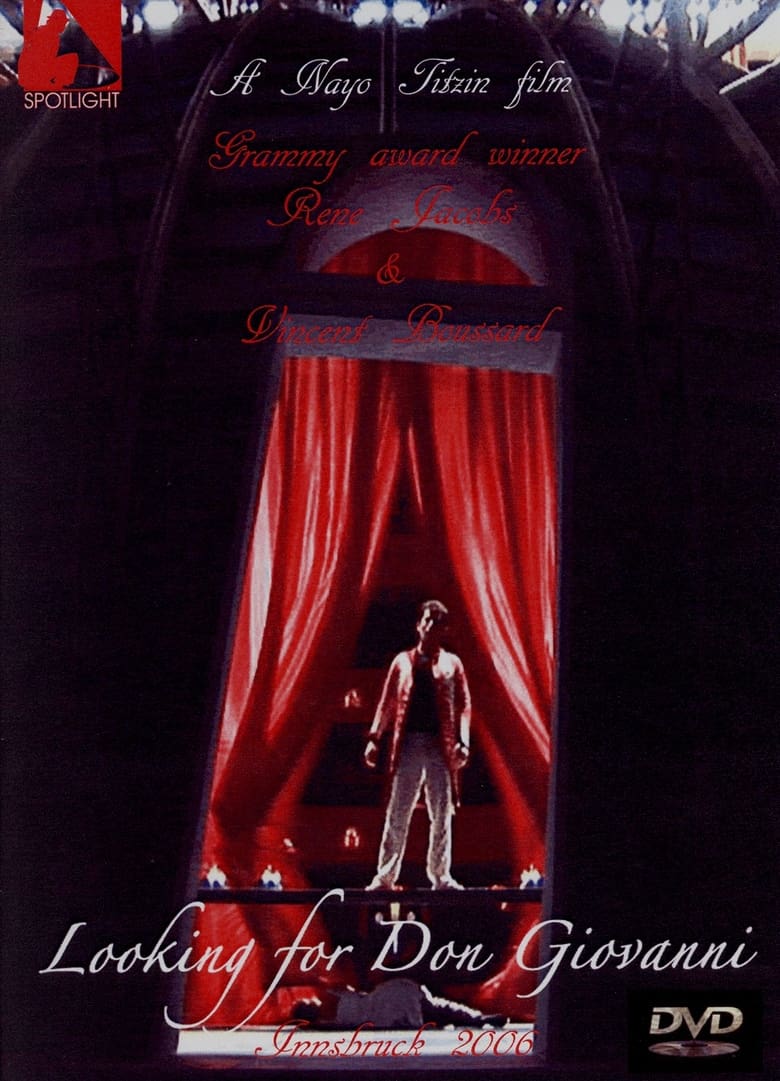 Poster of Looking for Don Giovanni