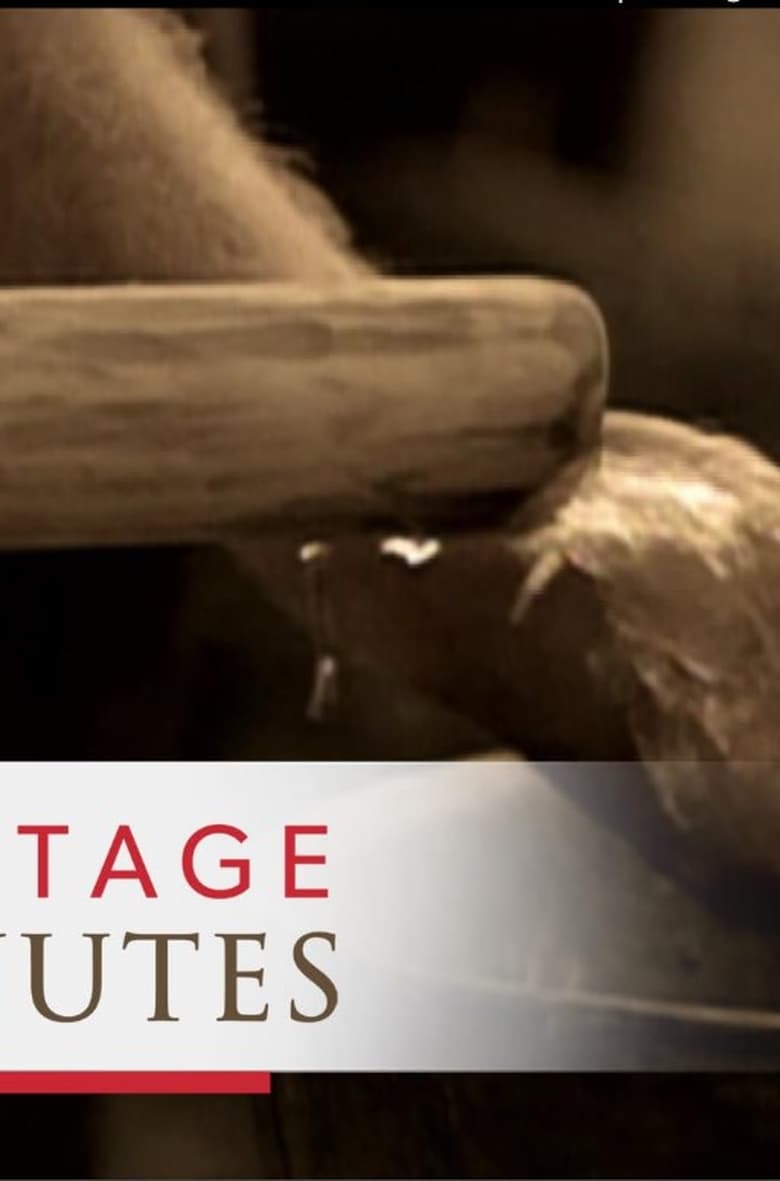 Poster of Heritage Minutes: Water Pump