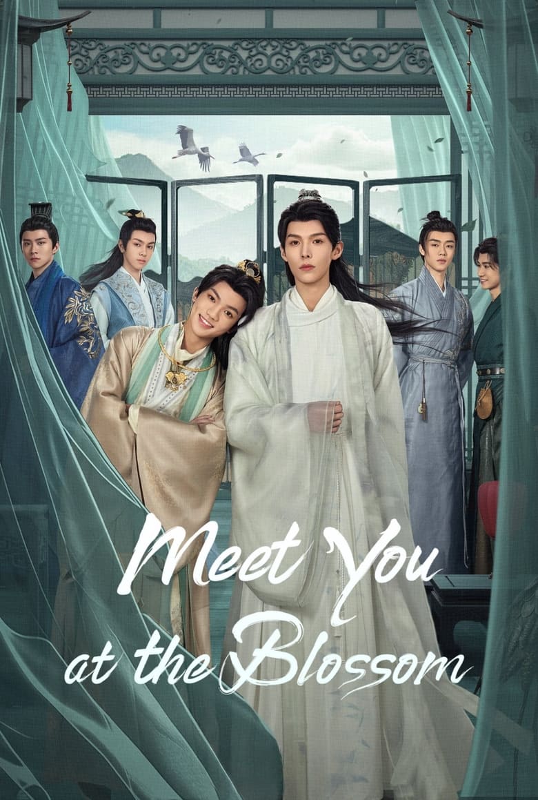 Poster of Meet You at the Blossom