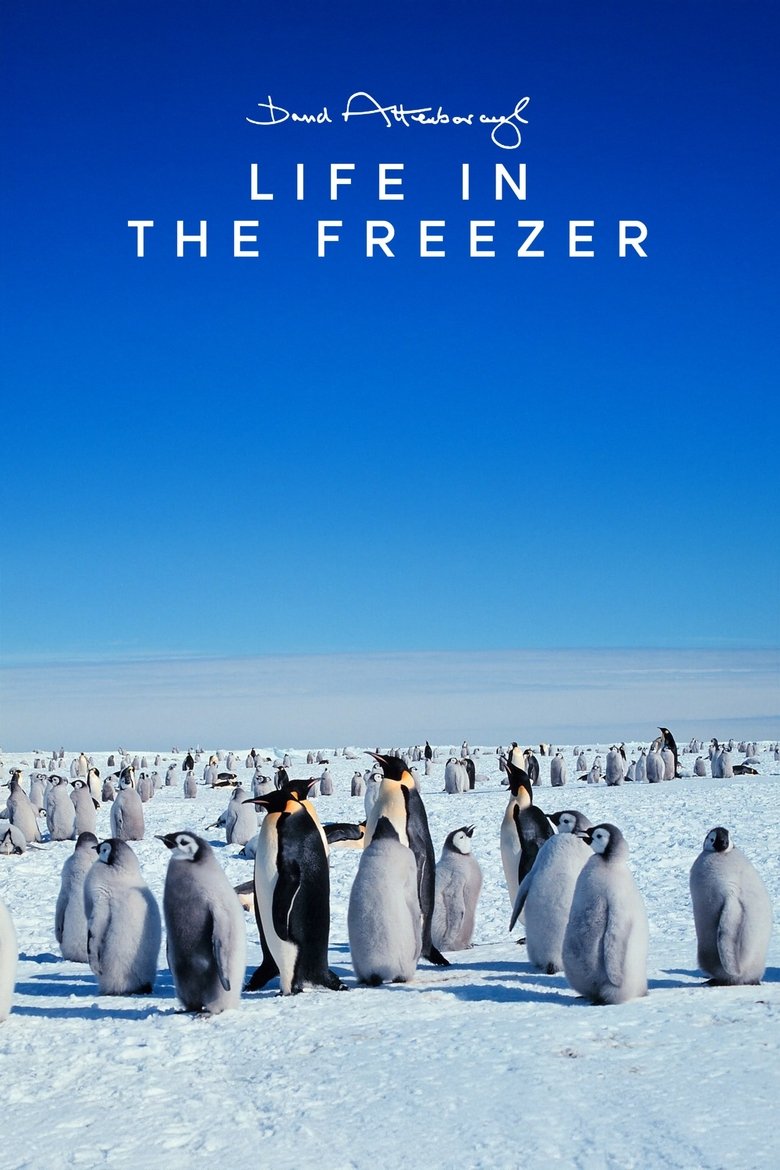 Poster of Episodes in Life In The Freezer - Miniseries - Miniseries