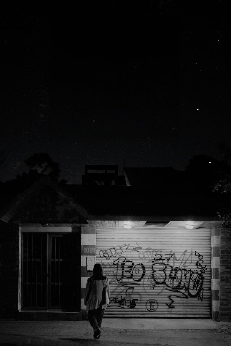 Poster of Birds sing at night