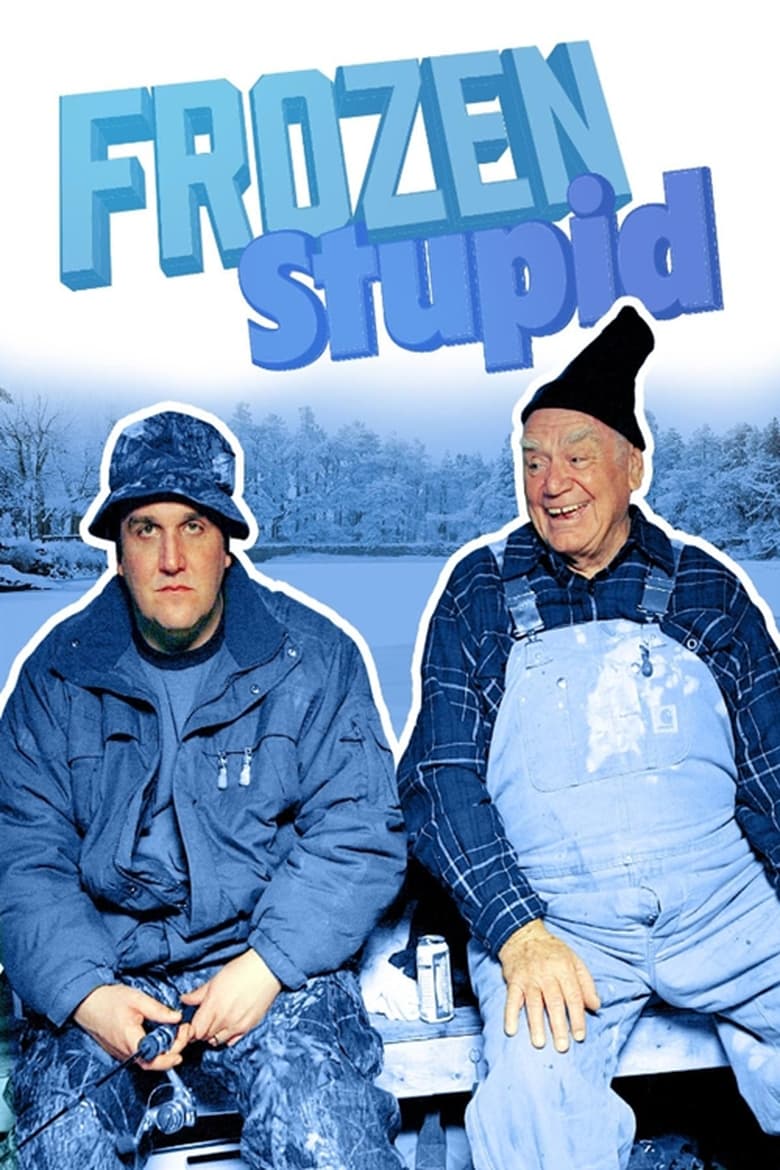 Poster of Frozen Stupid