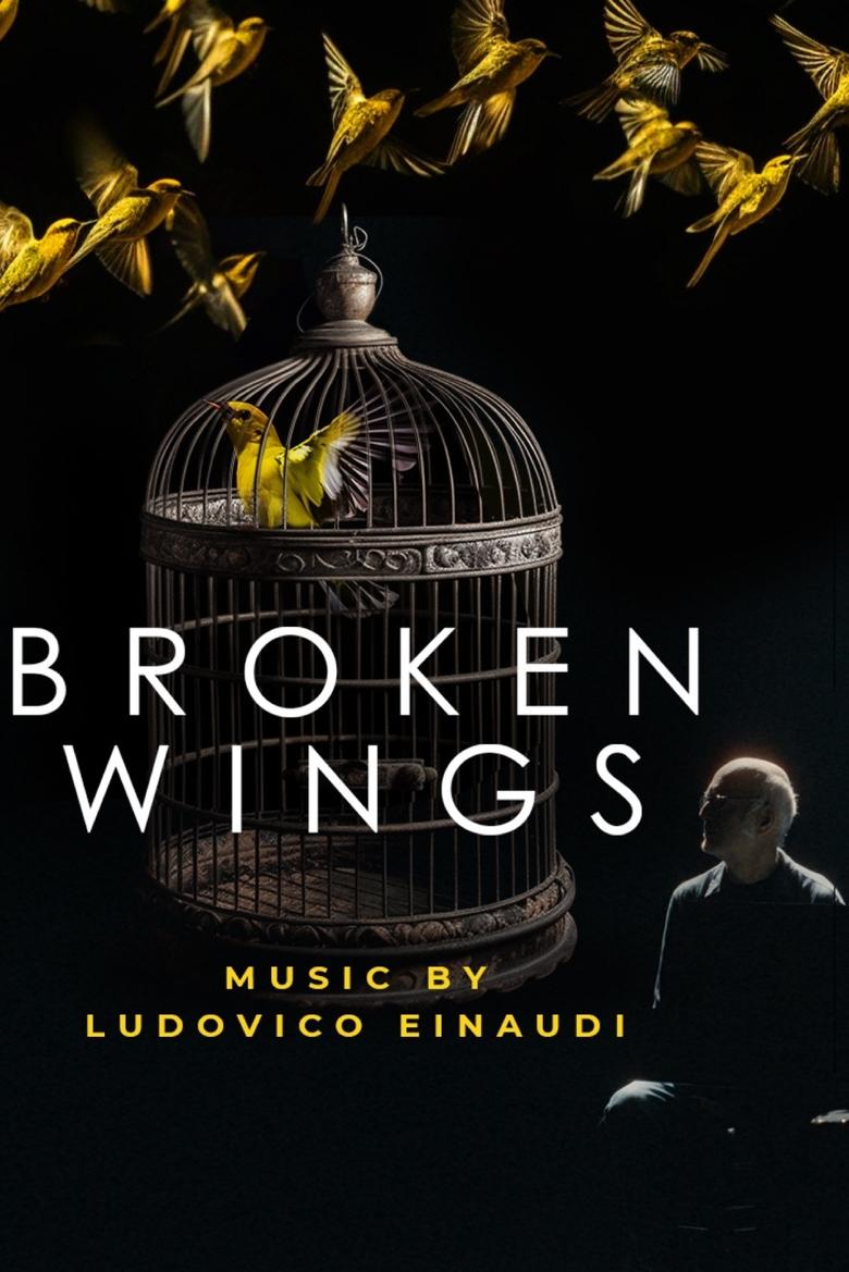 Poster of Broken Wings