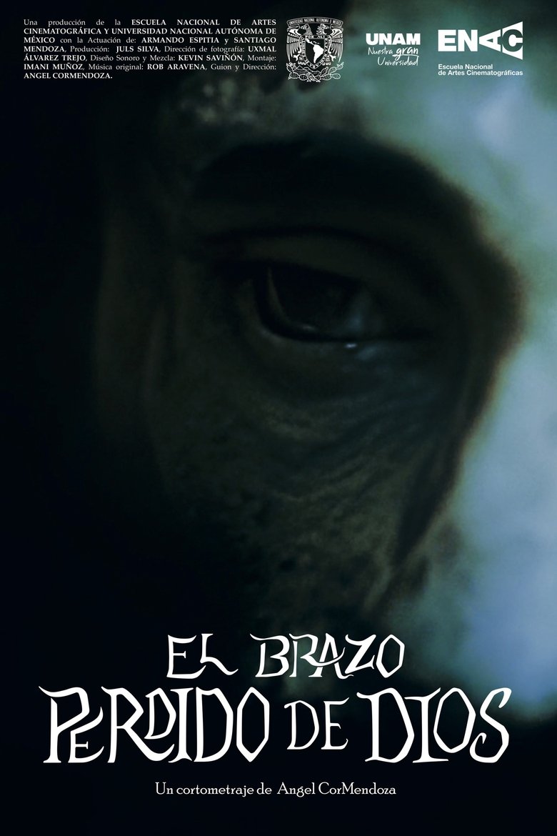 Poster of The Lost Arm of God