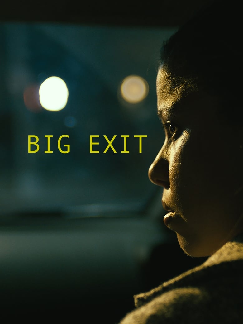 Poster of Big Exit