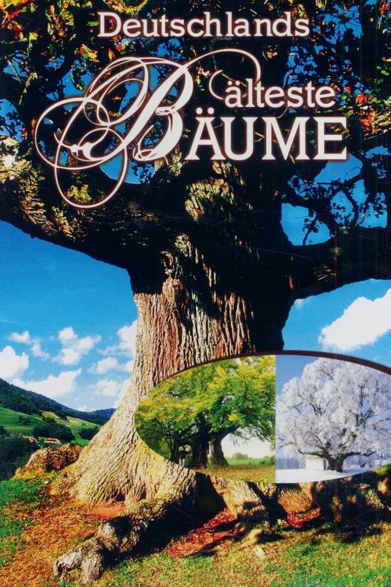 Poster of Deutschlands älteste Bäume