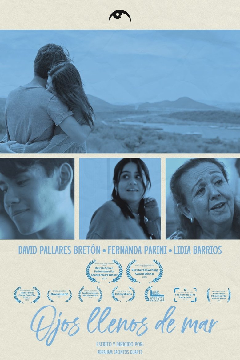 Poster of Beautiful Eyes