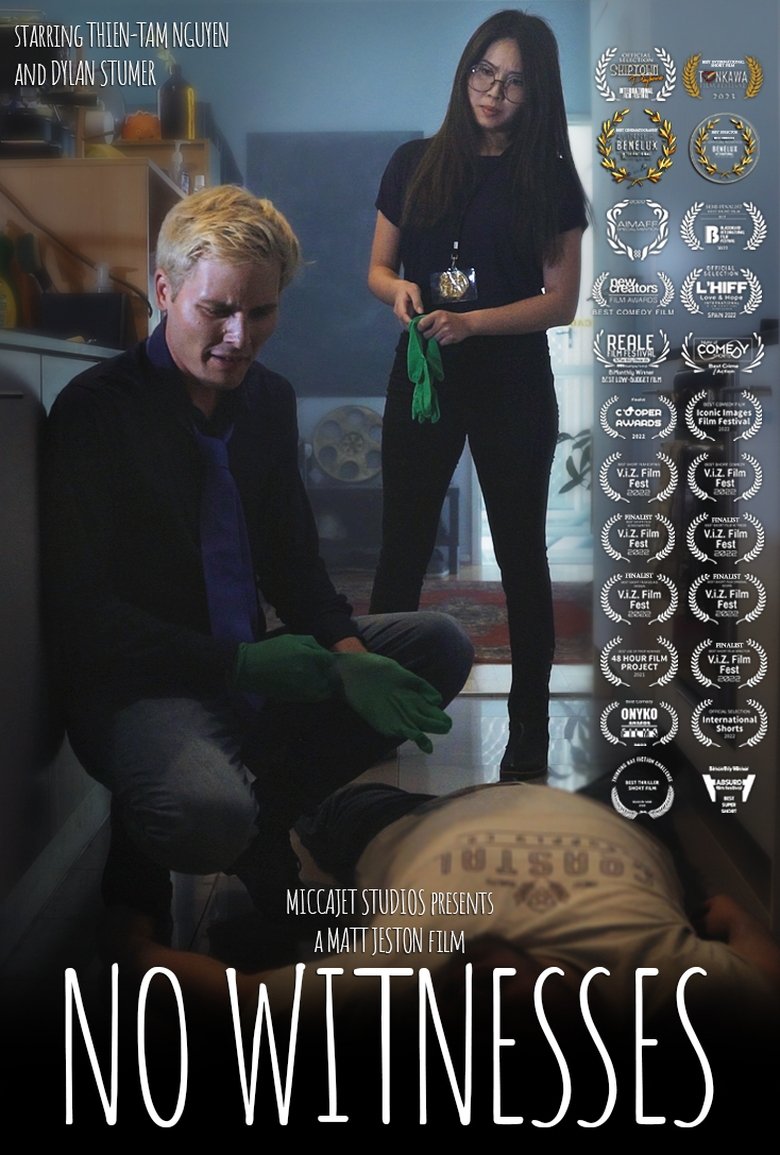 Poster of No Witnesses