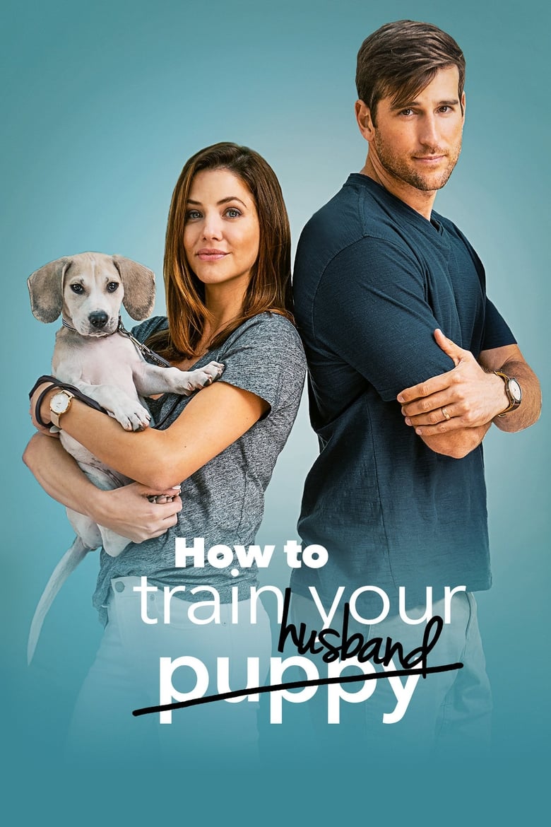 Poster of How to Train Your Husband