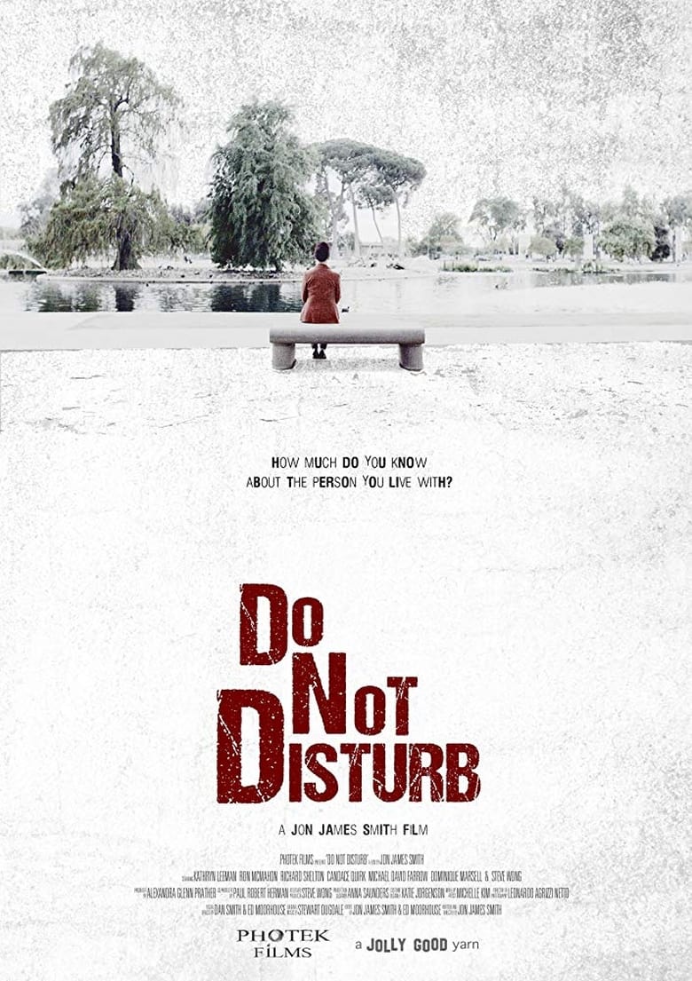 Poster of Do Not Disturb