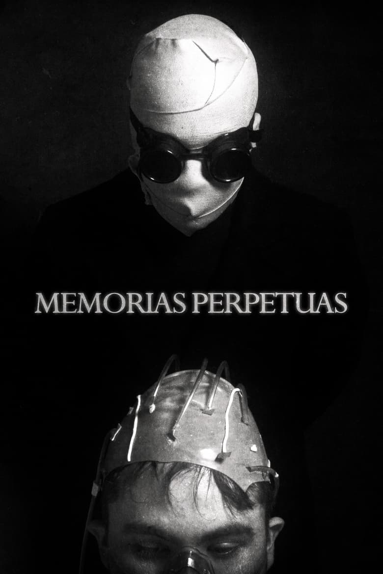 Poster of Perpetual memories