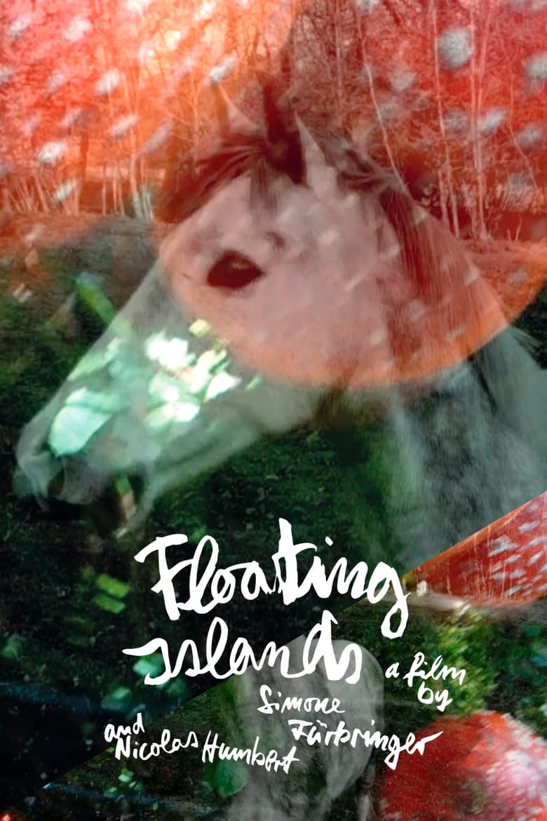 Poster of Floating Islands