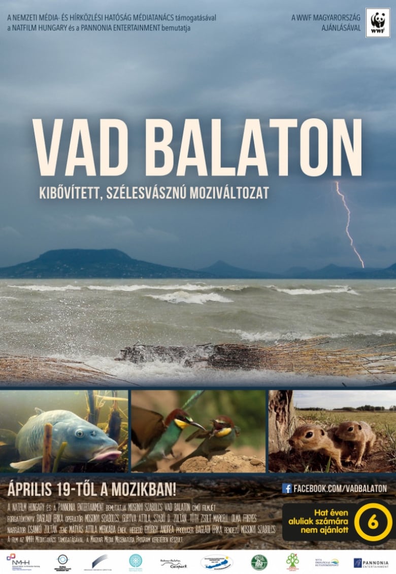 Poster of Balaton