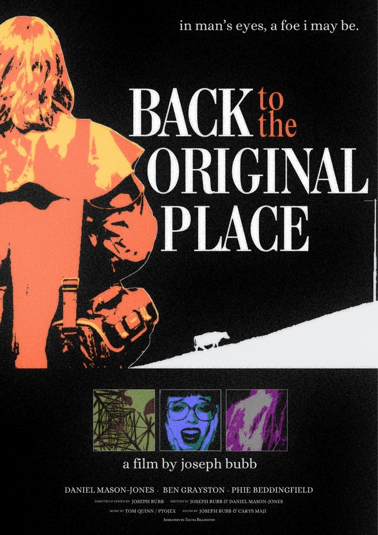 Poster of Back to the Original Place