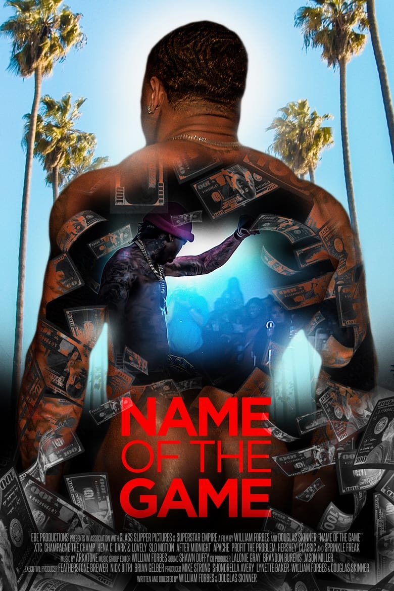 Poster of Name Of The Game