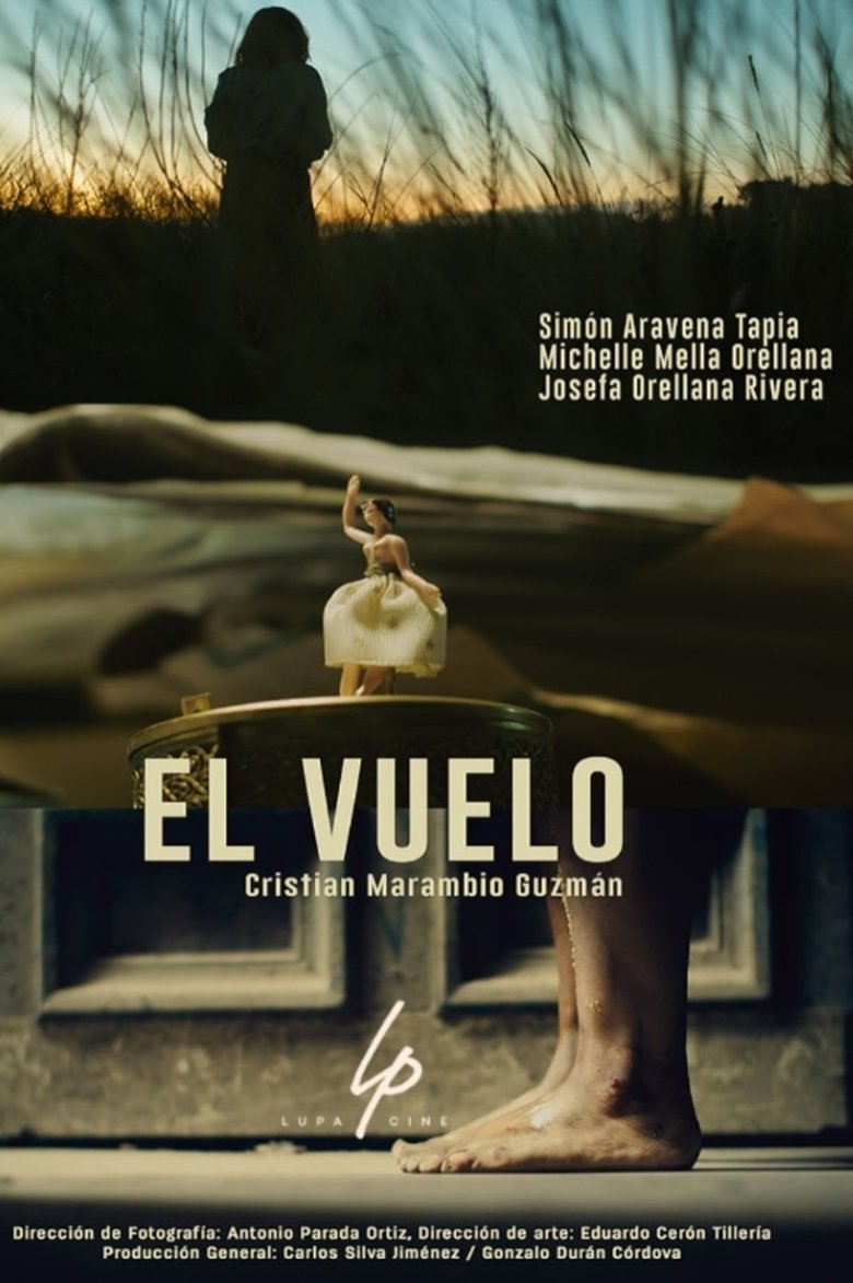 Poster of El vuelo