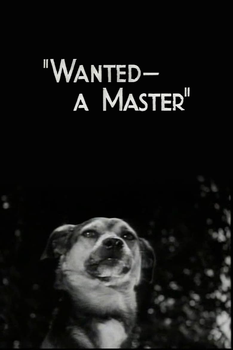 Poster of Wanted - A Master