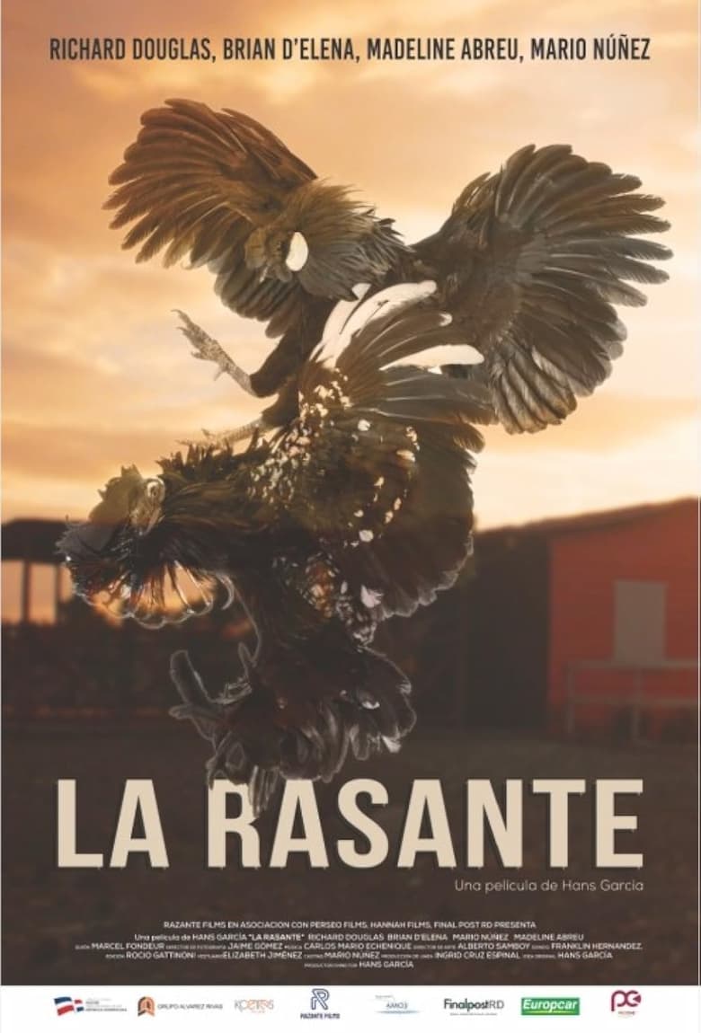 Poster of La Rasante