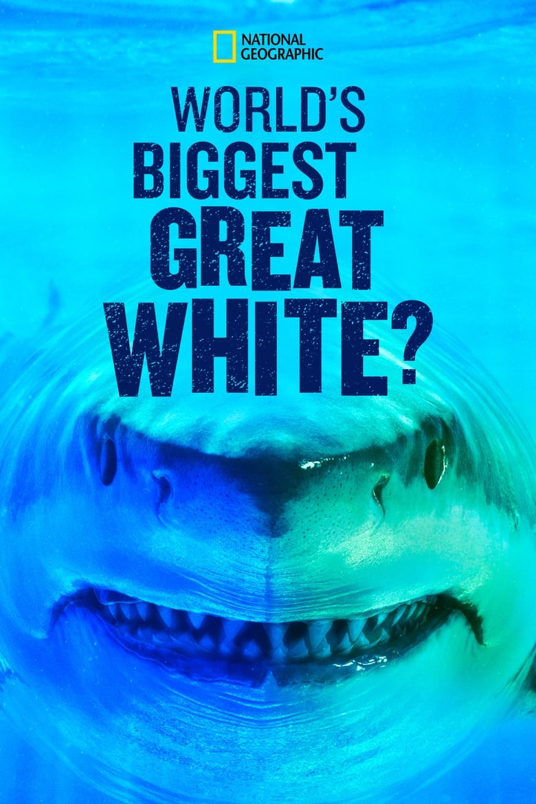 Poster of World's Biggest Great White?