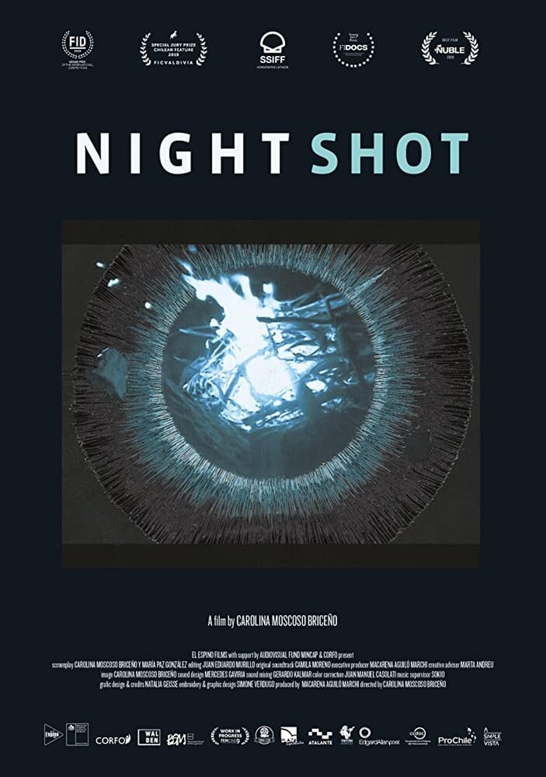 Poster of Night Shot