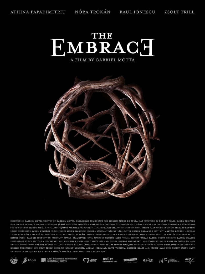 Poster of The Embrace