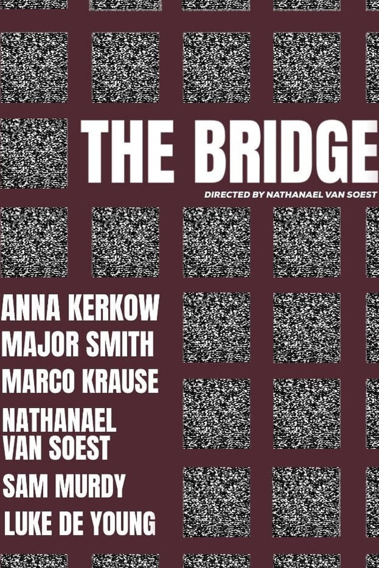 Poster of The Bridge