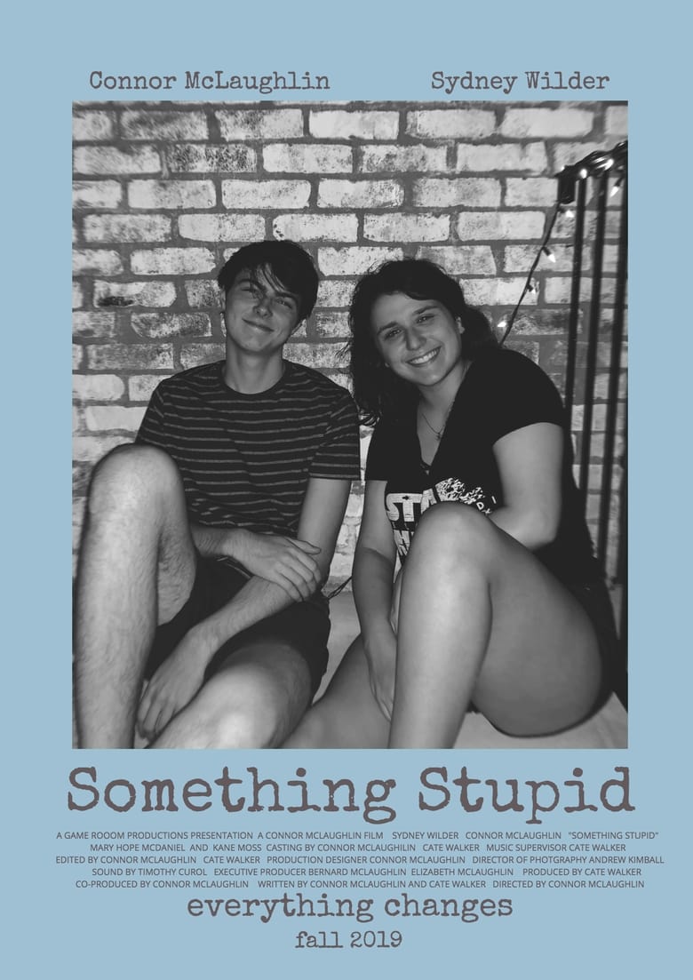 Poster of Something Stupid