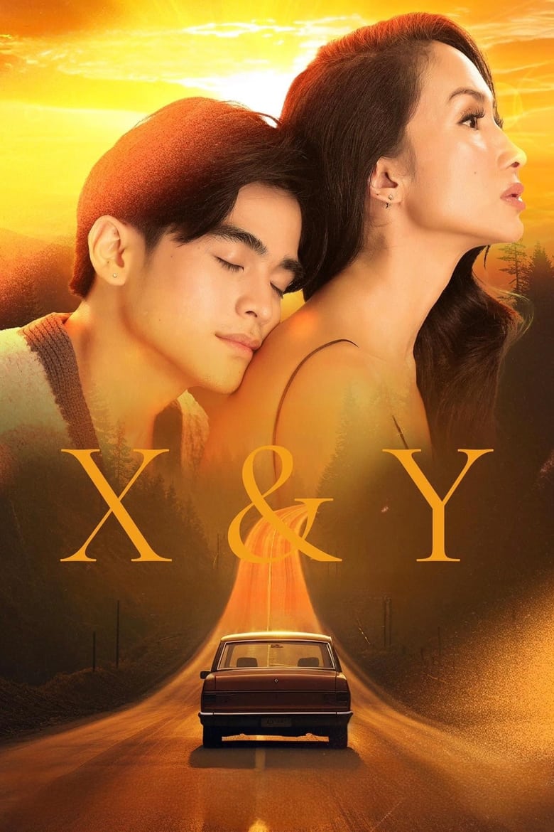 Poster of X&Y