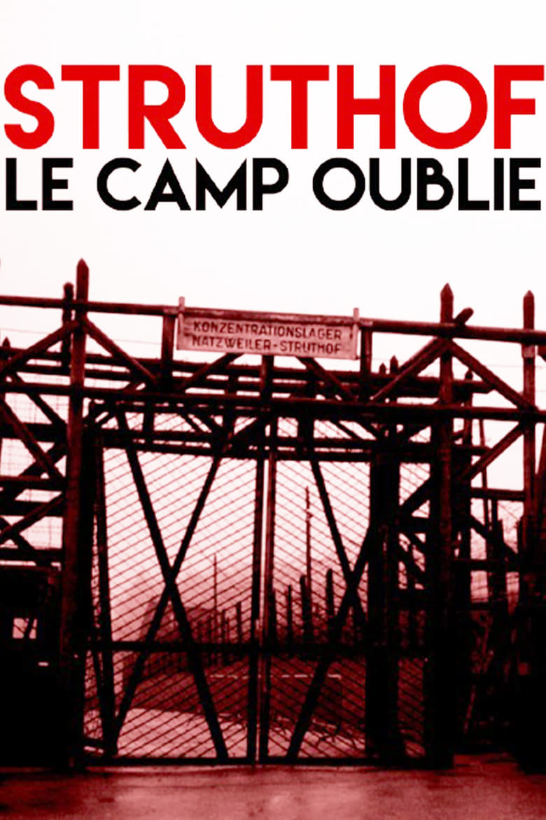 Poster of Memories of a Nazi Camp